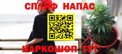 прущие грибы Нарткала