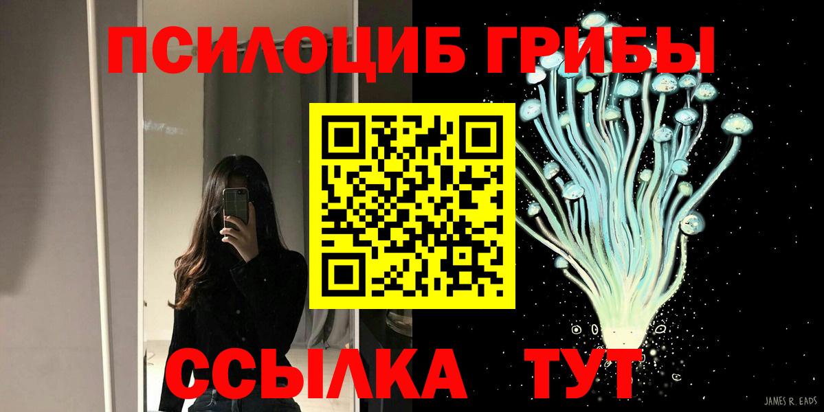 Галлюциногенные грибы Psilocybine cubensis Усинск